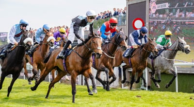 A group of horseracers racing to the finish line on chester racecourse. It is a sunny day.